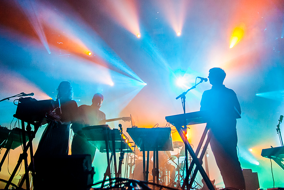 the wombats